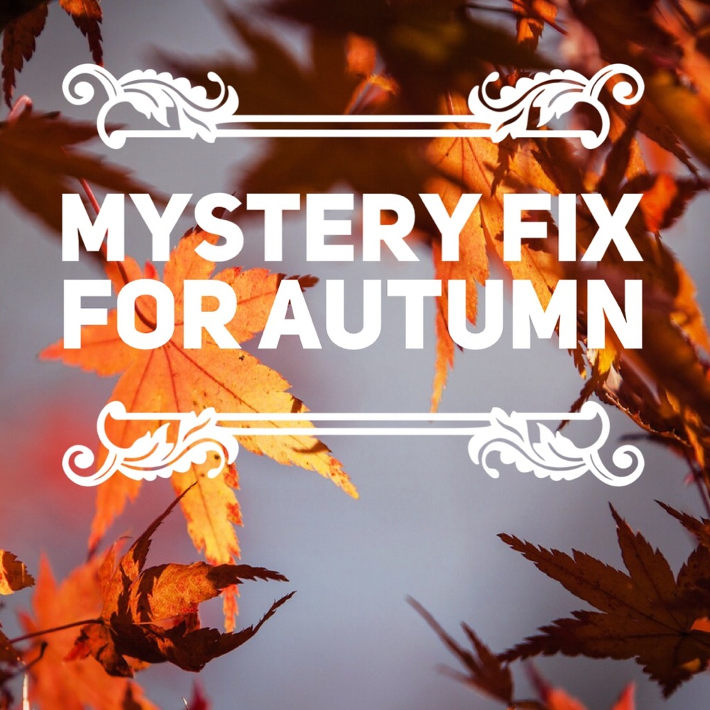 Mystery Fix for Autumn - Curvy Sizes!